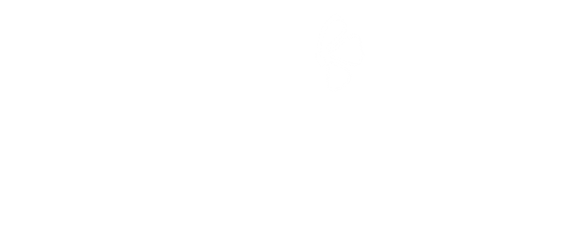 Adelily Lane